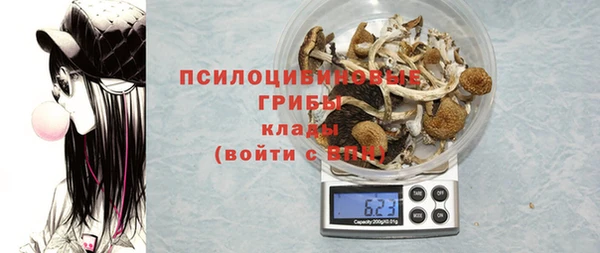 круглые Бронницы